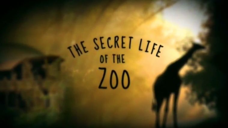Das geheime Leben des Zoos: Staffel 5 kommt zu Animal Planet
