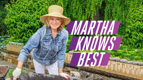 Martha ve za najboljšo TV-oddajo na HGTV: odpovedana ali obnovljena?
