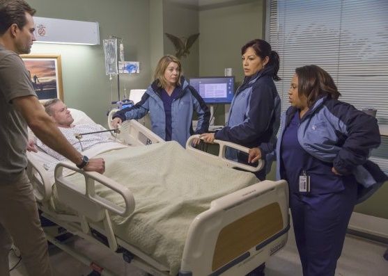 Grey's Anatomy: temporada 13 ordenada por ABC