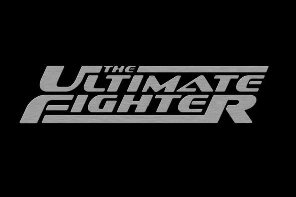 Ultimate Fighter: 29. hooaeg; ESPN + seeria naaseb 2021. aastal