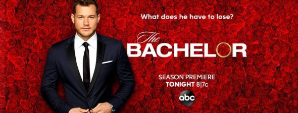 TV oddaja Bachelor na ABC: ocene 23. sezone (preklicana ali obnovljena 24. sezona?)