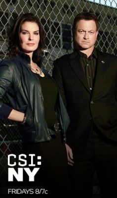 Televizijska oddaja CBS CSI: New York sezona devet ocen