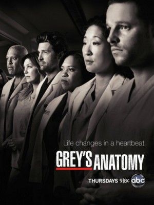 Grey's Anatomy: Ocena devet sezone