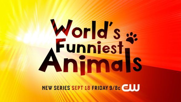 世界上最有趣的动物：第一季收视率