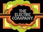 Електрична компанија