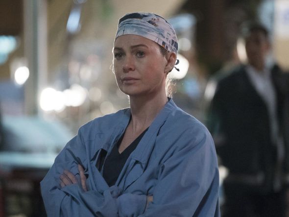 Grey’s Anatomy: Season 13 Viewer Votes