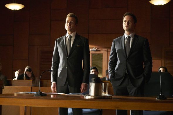 Televizijos grifas per televiziją „Suits“ žiūri JAV: atšaukta ar 8 sezonas? (Išleidimo data)